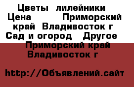 Цветы  лилейники › Цена ­ 100 - Приморский край, Владивосток г. Сад и огород » Другое   . Приморский край,Владивосток г.